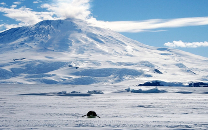 Bụi vàng mà núi Erebus phun bay rất xa. Các nhà nghiên cứu Nam Cực đã phát hiện ra dấu vết của vàng trong không khí xung quanh khu vực núi lửa, cách ngọn núi khoảng 1.000km. Ảnh istock