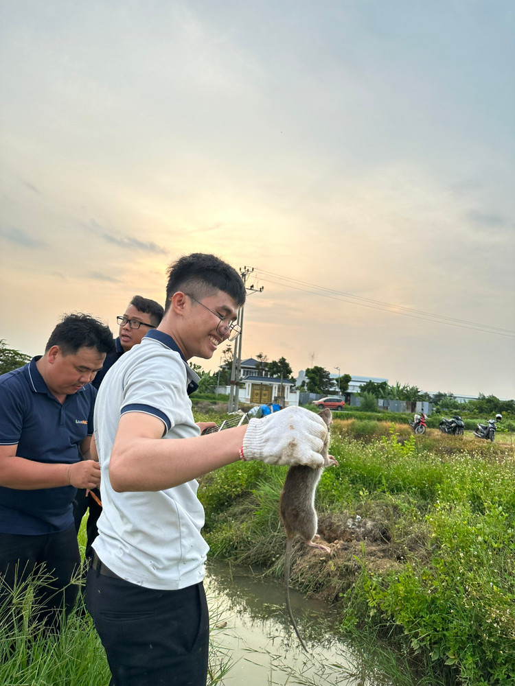 Tóm gọn chuột từ súng phun khói