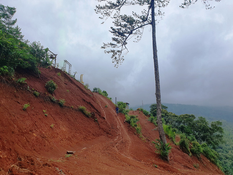 Một khu vực đồi rộng lớn bị ông Thành cày xới nham nhở, có nguy cơ sạt lở bất cứ lúc nào.