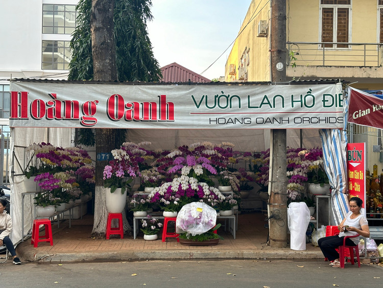 Cảnh buôn bán ế ẩm khiến các tiểu thương như ngồi trên đống lửa, nhất là với những người bỏ ra số tiền lớn nhập về các loại hoa, cây cảnh có giá trị cao.