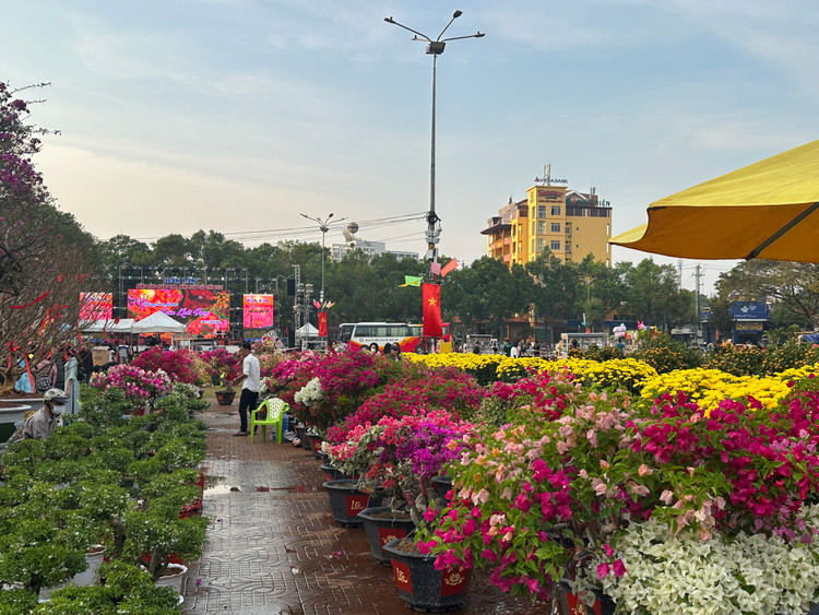 Vườn hoa tại quảng trường 10/3 Tp Buôn Ma Thuột hoa vẫn còn khá nhiều, sức mua không sôi động như mọi năm.