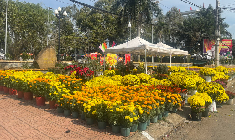 Chợ hoa tại hoa viên huyện Eakar vắng khách qua lại, hoa vẫn còn ngập tràn trên vỉa hè.