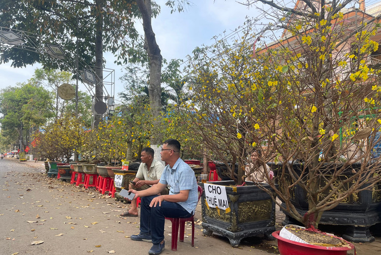 Dù đã hạ giá bán thấp hơn so với mọi năm, không khí mua sắm vẫn không mấy sôi động như năm trước, vì tình hình kinh tế khó khăn.