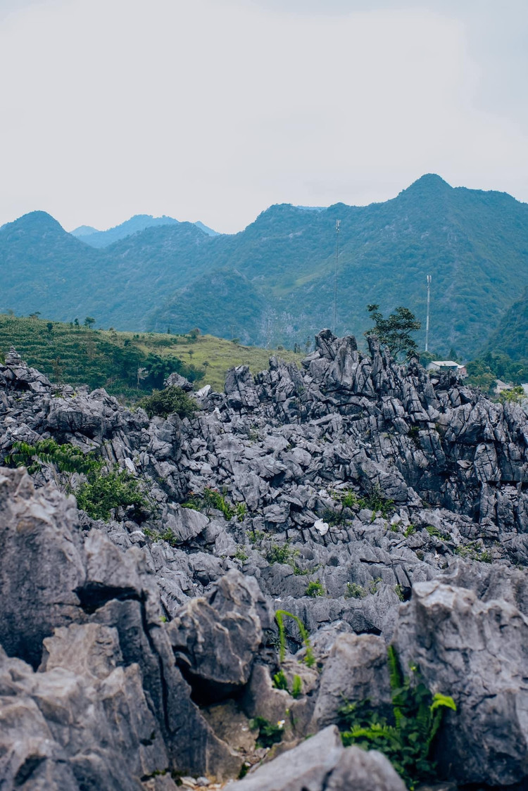 Cùng với những giá trị về địa chất, địa mạo, cảnh quan, cao nguyên đá Ðồng Văn còn chứa đựng các giá trị văn hóa truyền thống của 17 dân tộc anh em. Tại đây, nhiều bản làng còn giữ nét hoang sơ như Lô Lô Chải, Nặm Đăm, Lao Xa, Thiên Hương. ảnh Internet