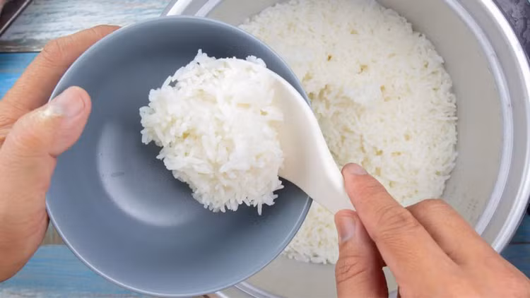 Ăn cơm nguội để qua đêm có tốt cho sức khỏe?. Ảnh minh họa