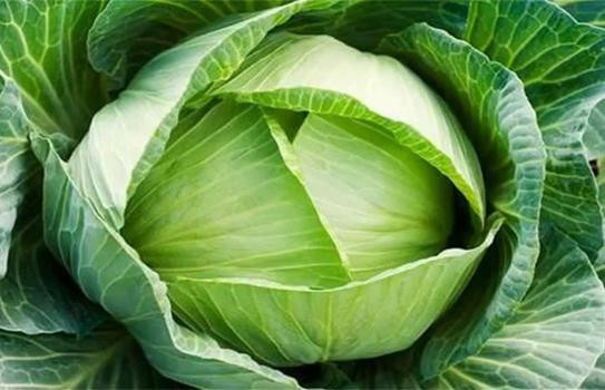 Ảnh minh họa Ảnh minh họa