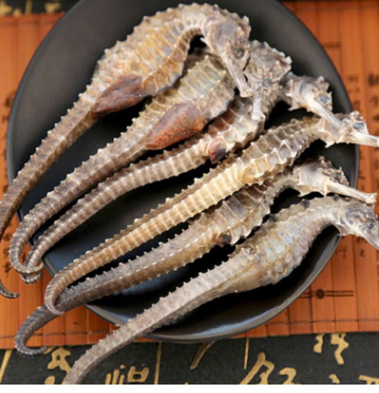 Cá ngựa phơi khô. Ảnh Internet