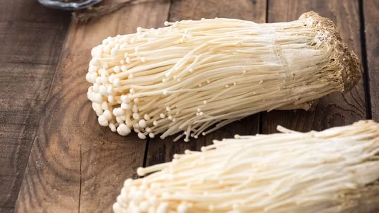 Ảnh minh họa Ảnh minh họa