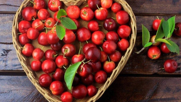 Loại quả siêu giàu vitamin C giúp hạ đường huyết, chống lão hóa. Ảnh minh họa