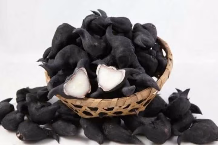 Ảnh minh họa Ảnh minh họa