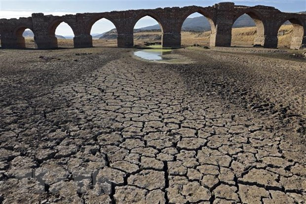 Những thảm họa thiên tai gây tổn thất nặng nề nhất năm 2022 ảnh 2