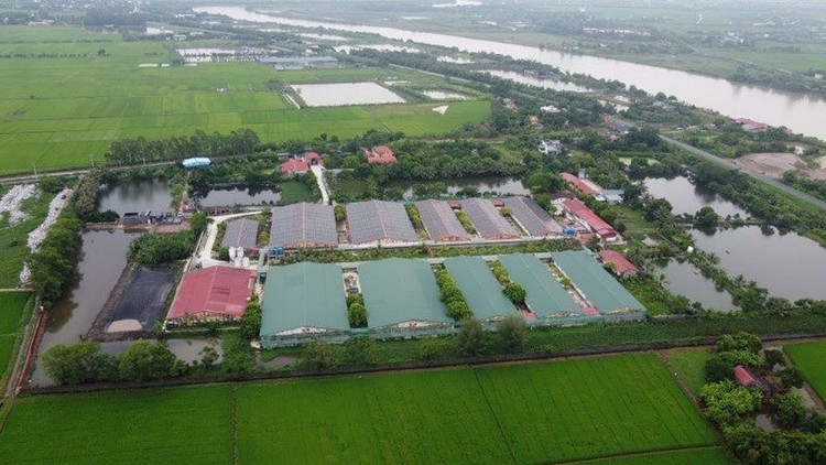 Toàn cảnh trang trại tổng hợp Đông Hòa của Công ty CP Thương mại dịch vụ Đông Á. Ảnh báo Công luận