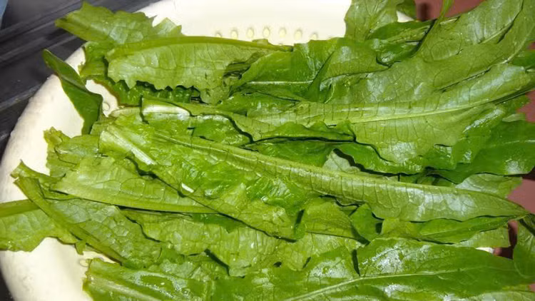 Các chuyên gia dinh dưỡng khuyến cáo rằng bạn nên tiêu thụ rau diếp thơm thường xuyên trong các bữa ăn. Điều này xuất phát từ những lợi ích đặc trưng của rau diếp thơm đối với sức khỏe. Ảnh minh họa