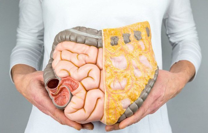 Mỡ nội tạng. Ảnh minh họa