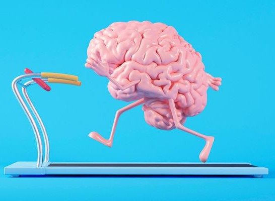 Làm gì để bộ não luôn khỏe mạnh?. Ảnh minh họa