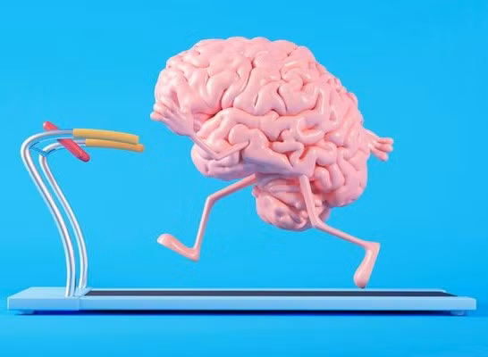 Làm gì để bộ não luôn khỏe mạnh?. Ảnh minh họa