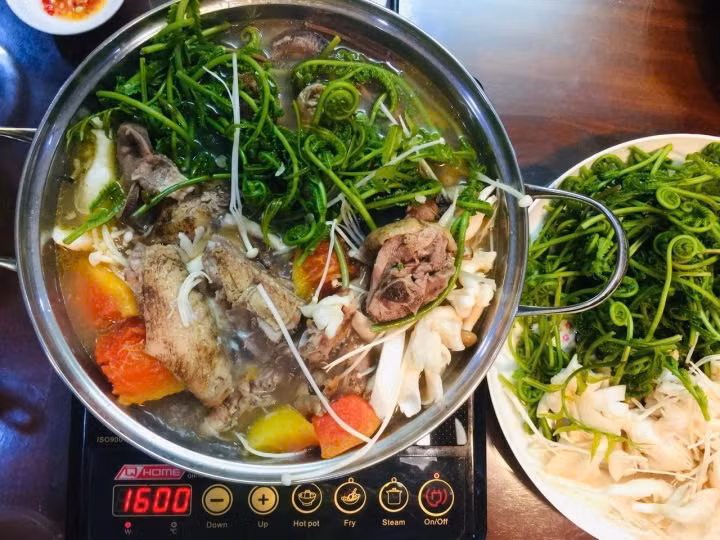 Trong khoảng tháng 8 đến tháng 11, đọt choại cùng với các loại rau dân dã khác là bông điên điển, lá sầu đâu, bồn bồn, kèo nèo... là món ăn đậm đà hương vị miền Tây cho những ai đã một lần thưởng thức. Ảnh Internet