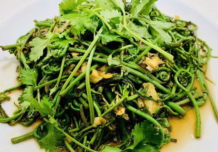 Vì dễ chế biến món ăn và dễ thu hái trong thiên nhiên nên đọt choại trở thành sản vật thiên nhiên cho người dân trong mùa mưa bão nước ngập khắp đồng. Ảnh Internet