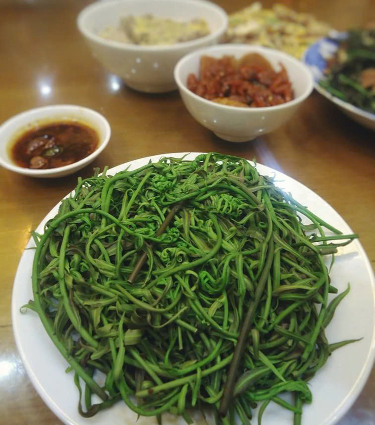 Đọt choại thường được chế biến trong các món đặc trưng Nam Bộ như rau luộc chấm kho quẹt, nhúng lẩu mắm, xào tép đồng, canh cá rô đồng, đổ bánh xèo, canh chua bông điên điển... Ảnh Internet