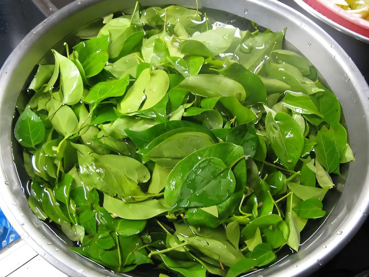 Lá giang chứa 26mg vitamin C, 0.6mg carotene, 3.5g gluside, 85.3g nước và 3.5g nước (hàm lượng trong 100g dược liệu tươi). Ngoài ra cây còn chứa coumarin, tannin, flavonoid, saponin, axit hữu cơ, chất béo, khoáng chất,…