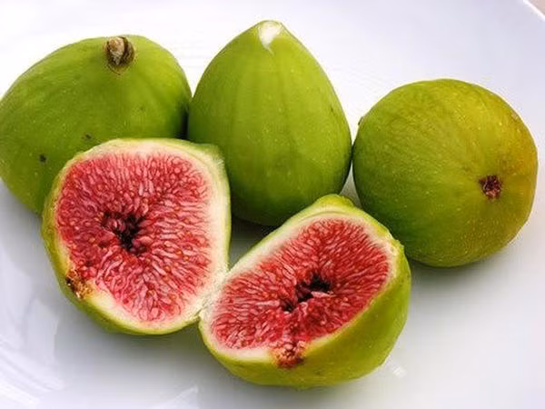 Ảnh minh họa. Ảnh minh họa.