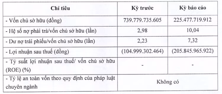 Kết quả kinh doanh 6 tháng 2023 của Năng lượng Nam Phương