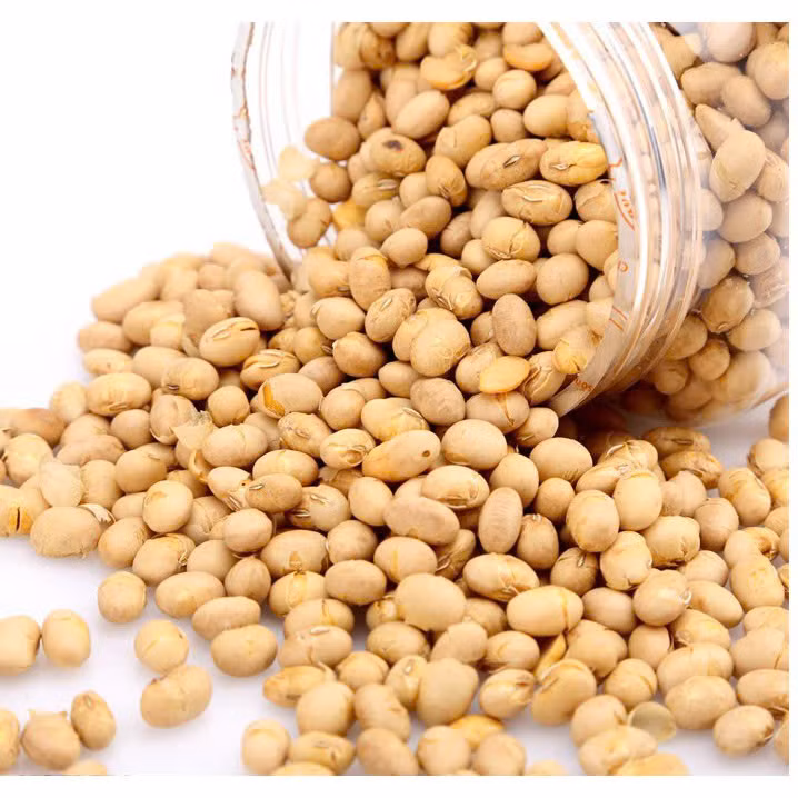 Hạt đậu sấy giòn. Ảnh minh họa