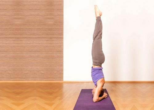 Tư thế cây chuối.