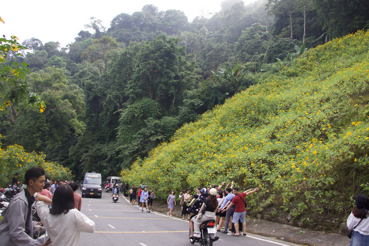 Dọc con đường đi lên vườn quốc gia, các bạn trẻ tranh thủ dừng chân chụp ảnh để ghi lại những khoảnh khắc ấn tượng.
