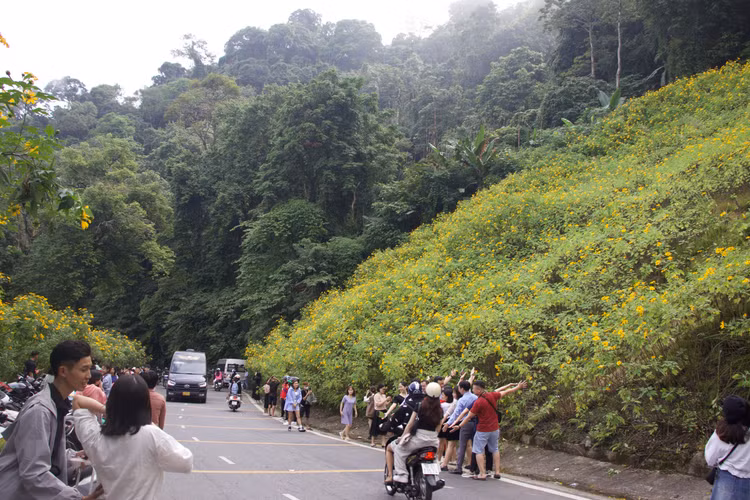 Dọc con đường đi lên vườn quốc gia, các bạn trẻ tranh thủ dừng chân chụp ảnh để ghi lại những khoảnh khắc ấn tượng.