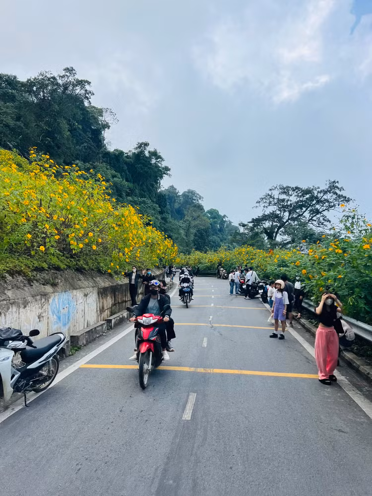 Hiện, giá vé vào Vườn Quốc gia Ba Vì là 60.000 đồng/người lớn/lượt, 20.000 đồng/sinh viên/lượt, 10.000 đồng/học sinh/lượt và vé ưu tiên 30.000 đồng/người/lượt (áp dụng đối với người già trên 60 tuổi, người tàn tật…). Giá vé gửi xe máy là 5.000 đồng/xe/lượt/điểm, xe đạp là 3.000 đồng/xe/lượt/điểm. Vé gửi ôtô được tính theo giờ, tùy hạng xe.