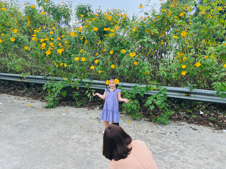 Chị Mai (Cầu Giấy, Hà Nội) cho hay: &quot;Nhân dịp cuối tuần, gia đình tranh thủ cho các con đi chơi, thưởng hoa, gần gũi với thiên nhiên&quot;. Ảnh Thu Giang