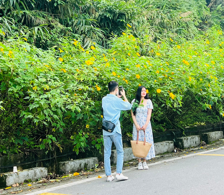 Đông đảo giới trẻ tới đây vừa kết hợp đi chơi, nghỉ ngơi và để check-in cùng hoa dã quỳ.