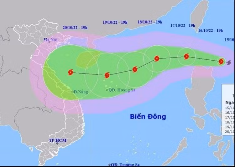 Các tỉnh, thành phố chủ động ứng phó bão Nesat ảnh 1