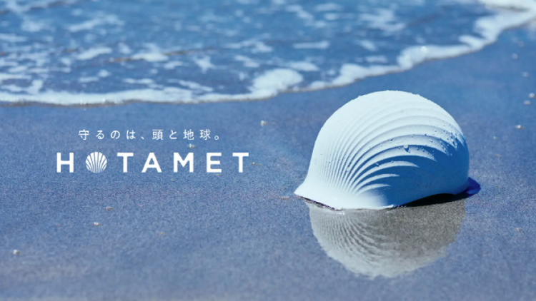 Nghiên cứu mũ bảo hiểm làm từ vỏ sò thân thiện với môi trường ảnh 1