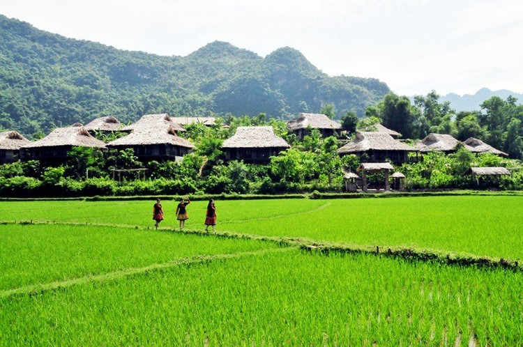 Vừa đi bộ vừa hít thở không khí sớm mai trong lành qua những bản người Thái