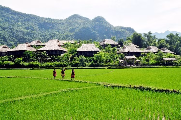 Vừa đi bộ vừa hít thở không khí sớm mai trong lành qua những bản người Thái