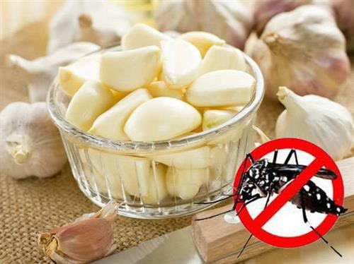 Ảnh minh họa Ảnh minh họa