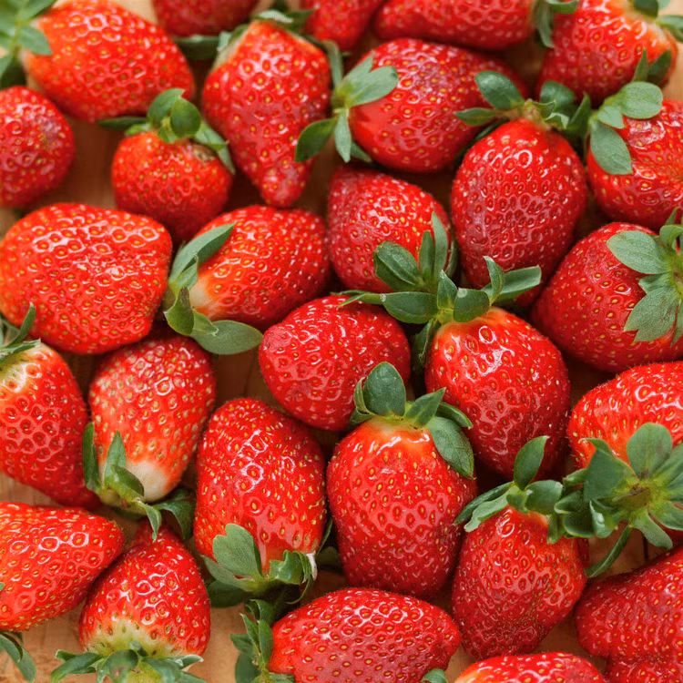 Ảnh minh hoạ Ảnh minh hoạ