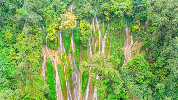 Với chiều cao khoảng 100 m, Thác Nậm Lúc Sìn Hồ là một trong những thác nước lớn và đẹp nhất ở Tây Bắc Việt Nam. Nhìn từ xa, thác nước chảy từ trên lòng núi xuống suối tung bọt trắng xóa như dải lụa khổng lồ mềm mại, vắt ngang khu rừng.. Ảnh Ngọc Diệp