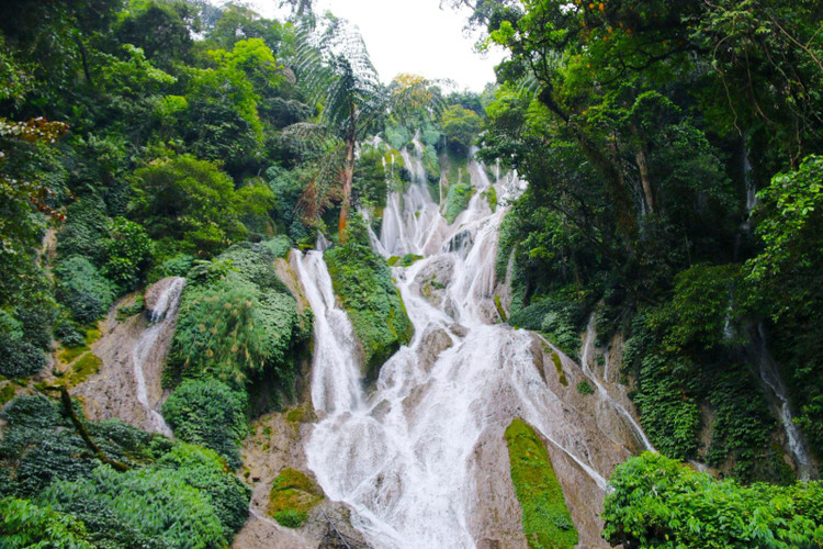 Thác Nậm Lúc được bao bọc bởi hệ thống rừng nguyên sinh xanh tốt với nhiều thảm thực vật phong phú, đa dạng tạo nên bức tranh thiên nhiên hoàn mỹ. Ảnh taybac Thác Nậm Lúc được bao bọc bởi hệ thống rừng nguyên sinh xanh tốt với nhiều thảm thực vật phong phú, đa dạng tạo nên bức tranh thiên nhiên hoàn mỹ. Ảnh taybac