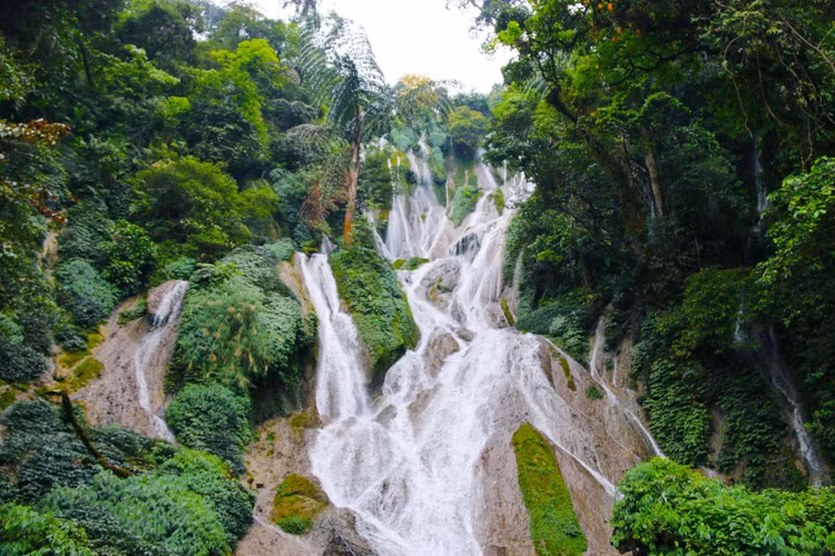 Thác Nậm Lúc được bao bọc bởi hệ thống rừng nguyên sinh xanh tốt với nhiều thảm thực vật phong phú, đa dạng tạo nên bức tranh thiên nhiên hoàn mỹ. Ảnh taybac