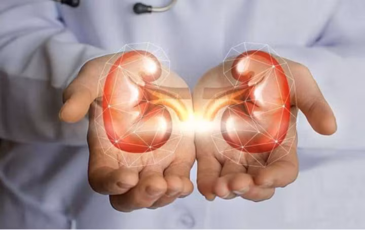 Để thận luôn “chạy” tốt, có thể sinh hoạt và làm việc bình thường cần xây dựng thói quen sinh hoạt lành mạnh từ sớm, cũng như cách chăm sóc sức khỏe đúng đắn và tầm soát bệnh thường xuyên. Ảnh Internet