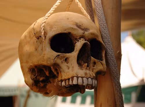 Đảo Tiburon là hòn đảo lớn nhất ở Mexico. Nơi đây khí hậu nóng, khô cằn và đầy động vật có nọc độc. Không những thế đây là nơi sinh sống của một nhóm người gọi là Seri. Từ lâu nhóm người này nổi tiếng ăn thịt đồng loại. Tuy nhiên, hòn đảo cũng có nhiều vàng và kim loại quý. Rất nhiều người Mỹ, Mexico đã mạo hiểm đến hòn đảo này để tìm kiếm kho báu nhưng hầu hết đều bị giết chết. Ảnh Internet