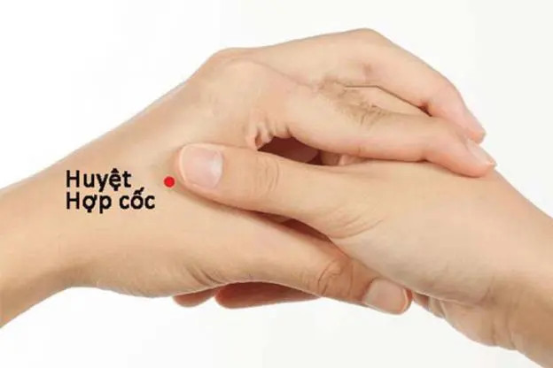 Huyệt hợp cốc một trong những huyệt quan trọng nhất trong việc điều chỉnh năng lượng của cơ thể và được sử dụng để giảm đau đầu, đau nửa đầu, và căng thẳng. Ảnh minh họa