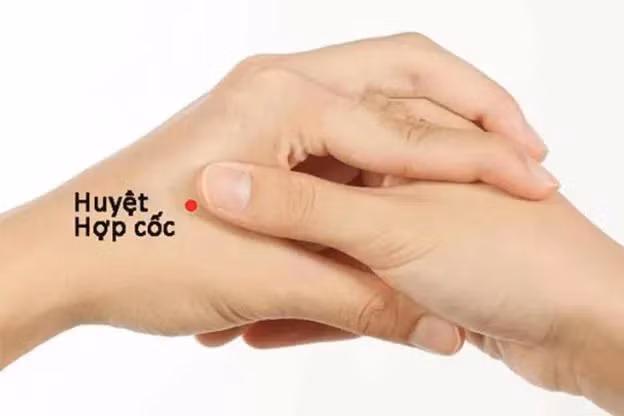Huyệt hợp cốc một trong những huyệt quan trọng nhất trong việc điều chỉnh năng lượng của cơ thể và được sử dụng để giảm đau đầu, đau nửa đầu, và căng thẳng. Ảnh minh họa