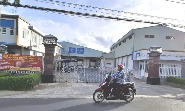 Công ty Thuận Đức bị UBND tỉnh Cà Mau xử phạt hơn 2 tỷ đồng. Ảnh Báo SGGP