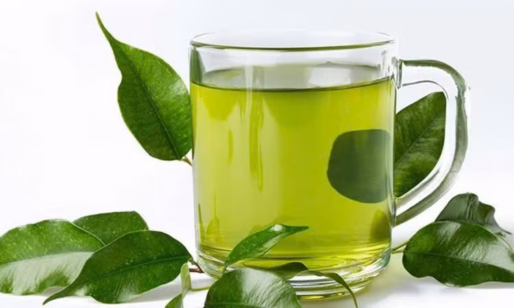 Trà xanh: Các chất chống oxy hóa, acid tannictanic trong trà xanh có tác dụng loại bỏ độc tố, giảm lượng cồn trong cơ thể. Do đó, 1 tách trà xanh đậm đặc sẽ giúp tăng tốc độ giải rượu. Có thể sử dụng cùng vài lát gừng tươi để tăng hiệu quả. Ảnh Internet