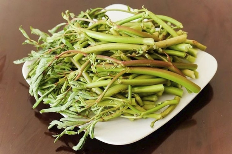 Cải thiện giấc ngủ: Tác dụng tốt của rau rút đối với tiêu hóa cũng đem lại những tín hiệu tích cực đối với hệ thần kinh, bởi 90% lượng serotonin trong cơ thể được sản sinh từ đường tiêu hóa. Việc sử dụng rau rút để thanh lọc cơ thể và cải thiện chức năng của hệ tiêu hóa sẽ kích thích việc sản sinh ra serotonin và phòng ngừa, chữa trị các vấn đề tâm lý như trầm cảm, lo âu, bi quan và mất ngủ. Ảnh Internet