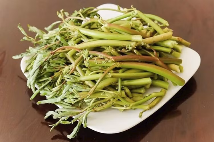 Cải thiện giấc ngủ: Tác dụng tốt của rau rút đối với tiêu hóa cũng đem lại những tín hiệu tích cực đối với hệ thần kinh, bởi 90% lượng serotonin trong cơ thể được sản sinh từ đường tiêu hóa. Việc sử dụng rau rút để thanh lọc cơ thể và cải thiện chức năng của hệ tiêu hóa sẽ kích thích việc sản sinh ra serotonin và phòng ngừa, chữa trị các vấn đề tâm lý như trầm cảm, lo âu, bi quan và mất ngủ. Ảnh Internet